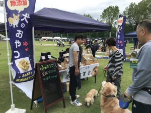 ５月１９日　すみのえハートスタジアム